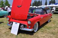 1955 Ford Thunderbird