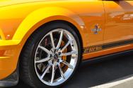 Super Snake Shelby GT500