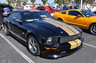 Hertz Mustang