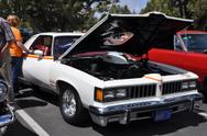 1977 Pontiac Can-Am 1 of 1377 made