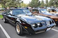 1979 Pontiac Special Edition Trans-Am