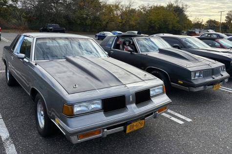 click for bigger photo